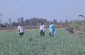 Shri I. Metrik Singh with KVK Staffs at his field.